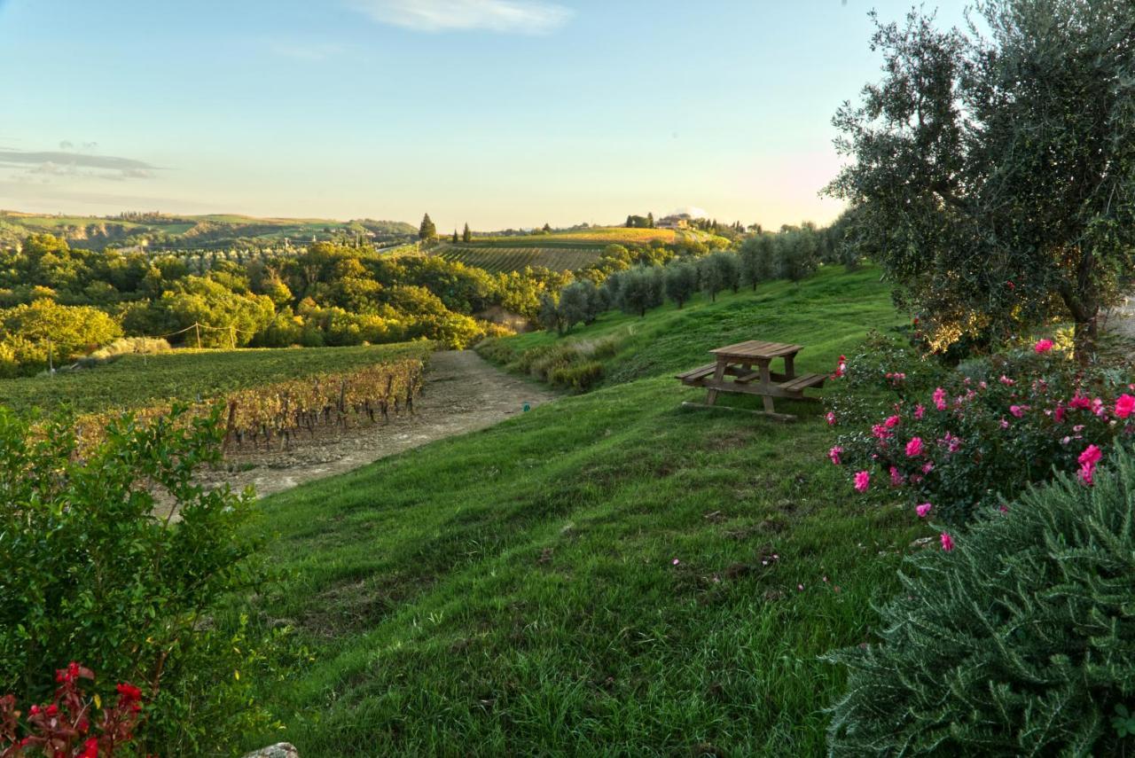 Agriturismo Mocine Asciano Exterior photo