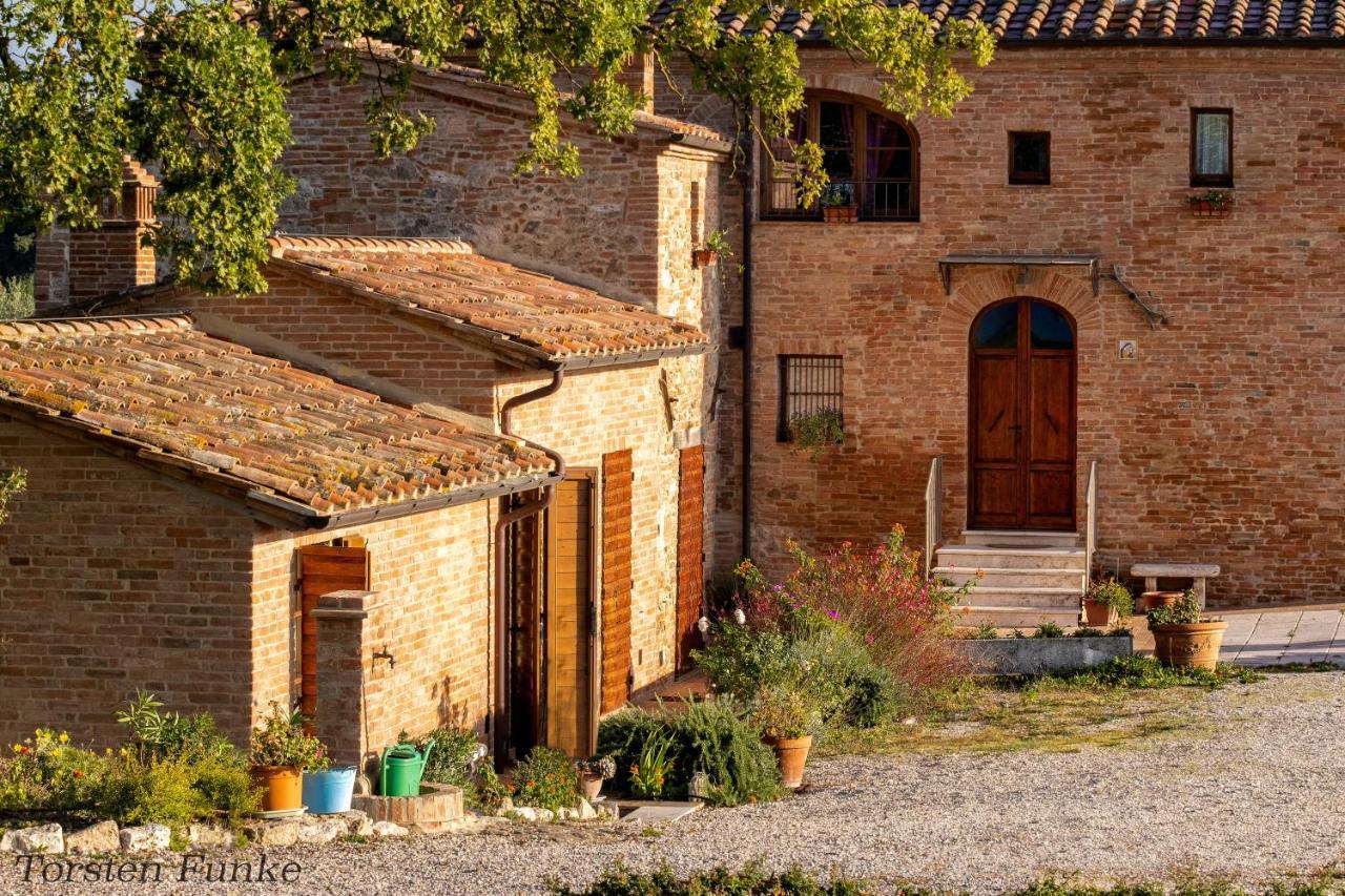 Agriturismo Mocine Asciano Exterior photo