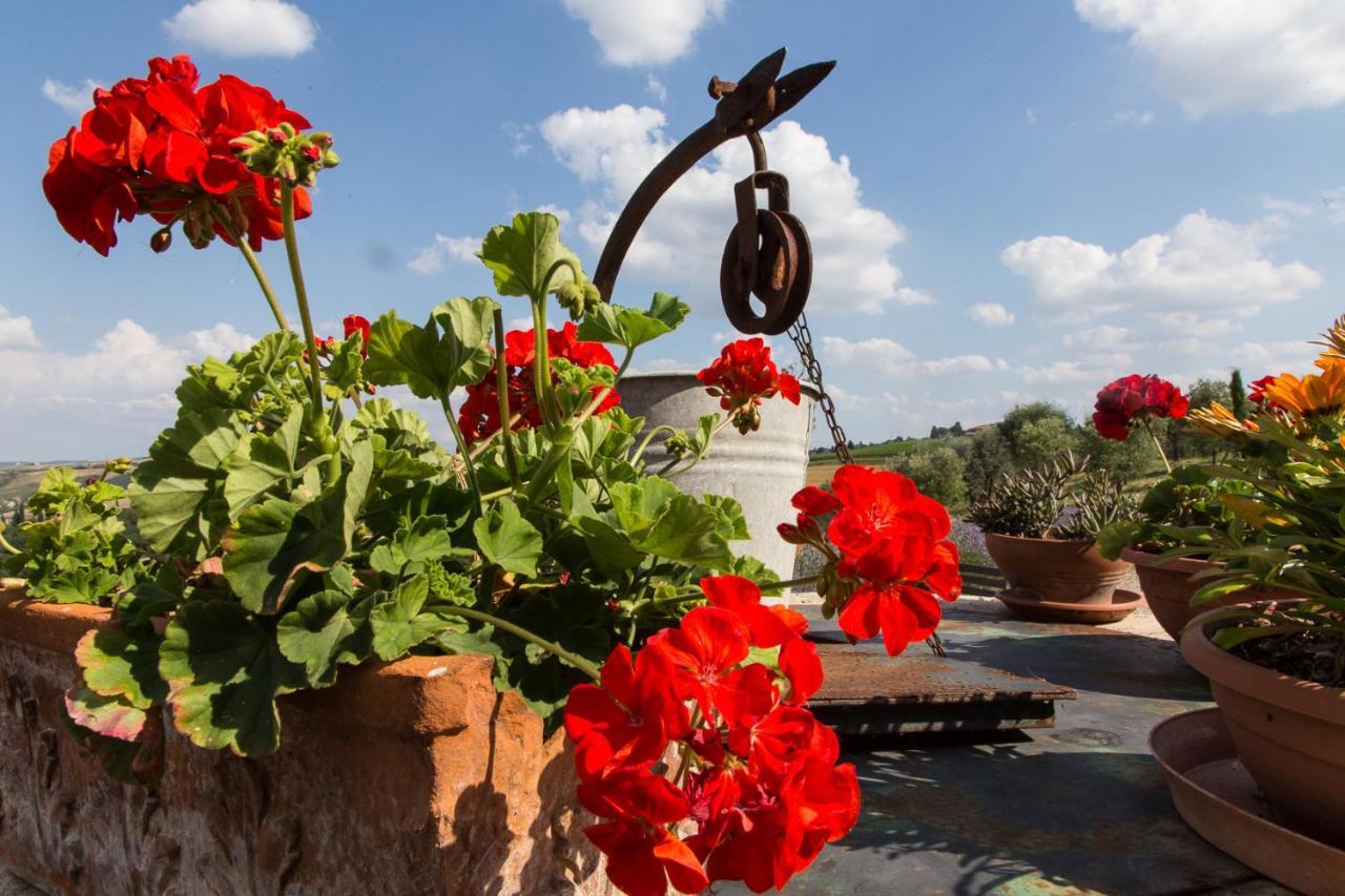 Agriturismo Mocine Asciano Exterior photo