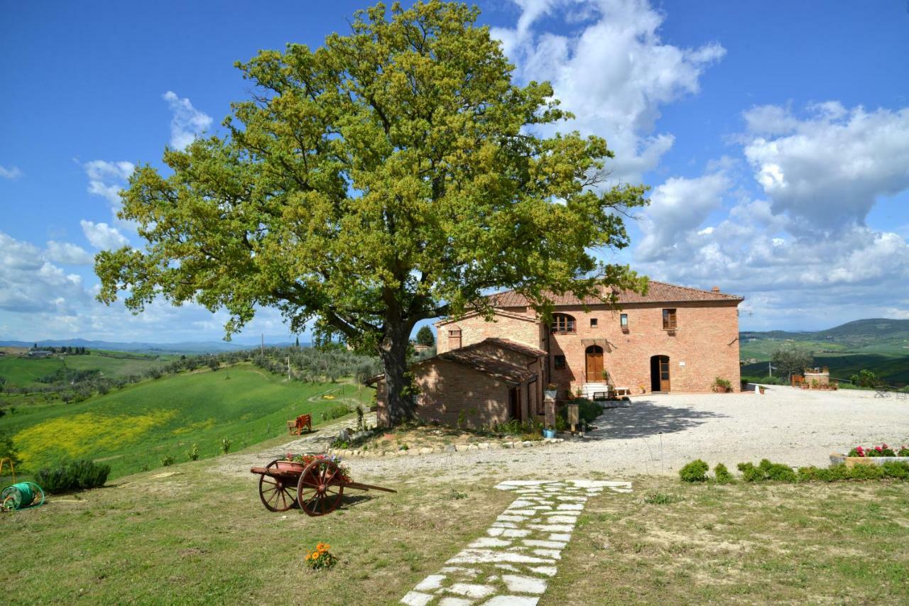 Agriturismo Mocine Asciano Exterior photo