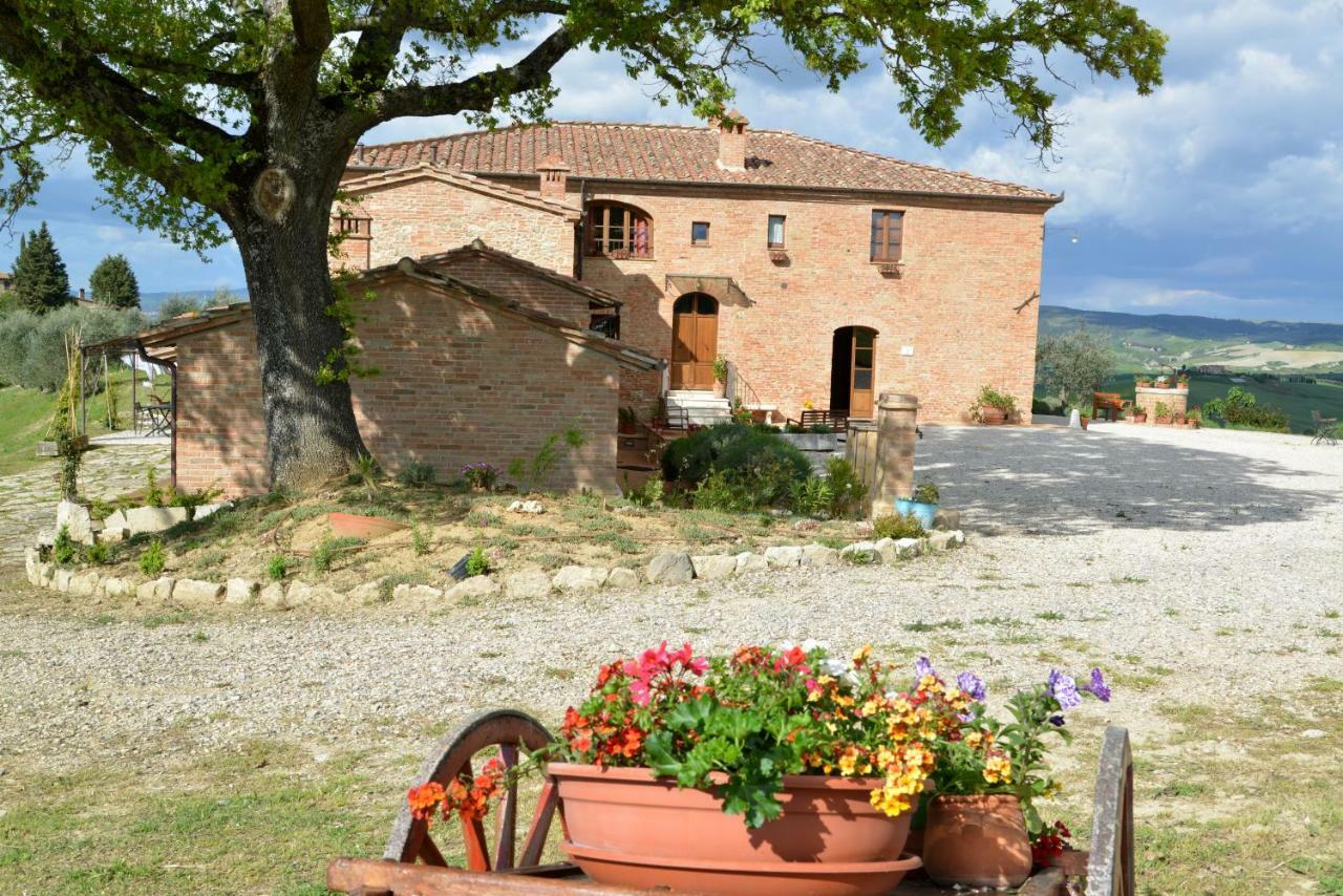 Agriturismo Mocine Asciano Exterior photo